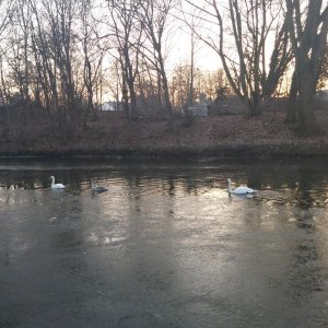 Es ist Winter an der JHV 2017